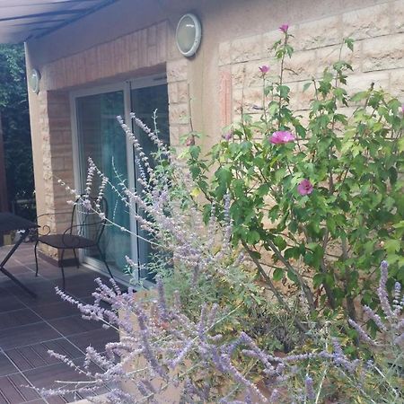 La Villa Des Violettes Toulouse Eksteriør billede