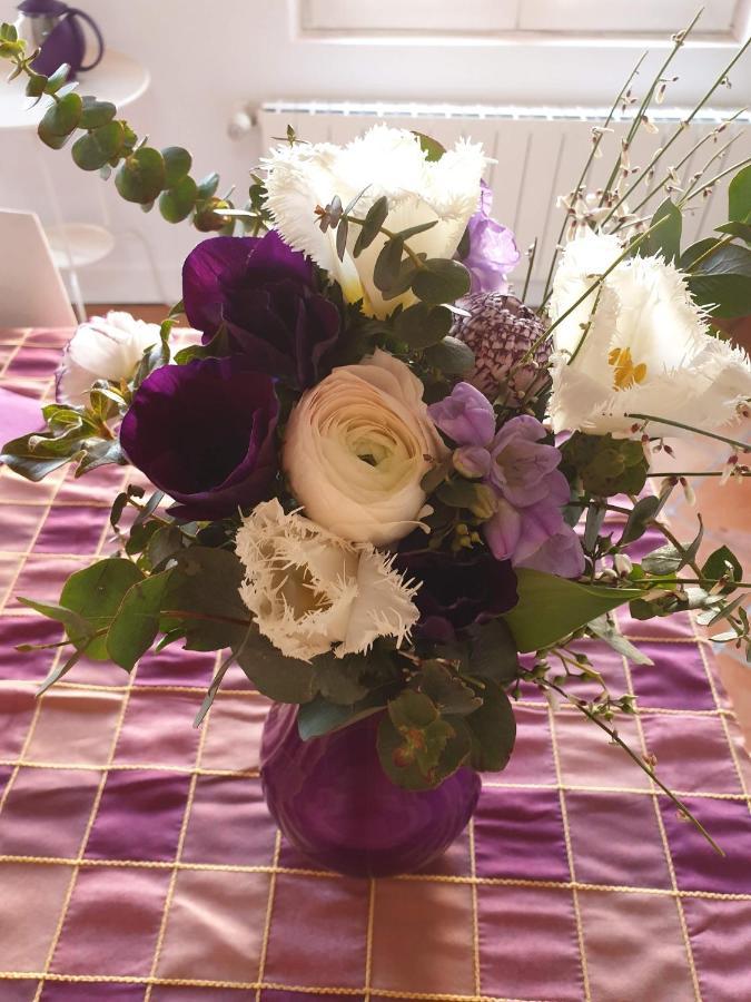 La Villa Des Violettes Toulouse Eksteriør billede