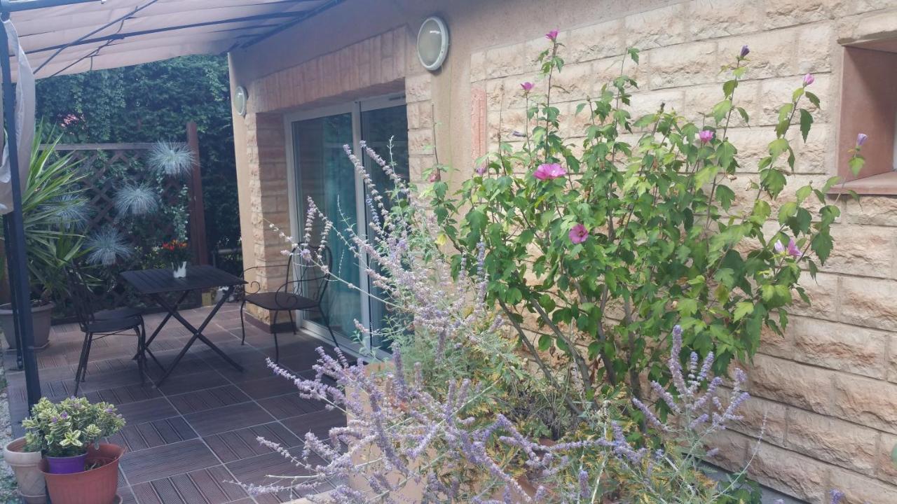 La Villa Des Violettes Toulouse Eksteriør billede