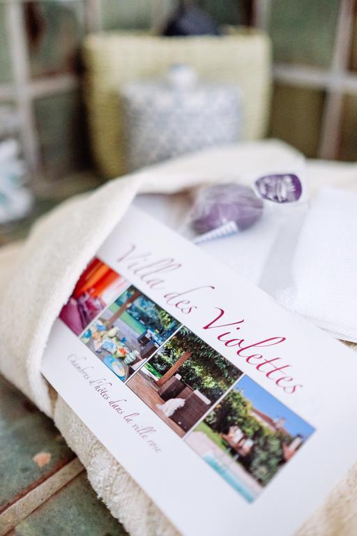 La Villa Des Violettes Toulouse Eksteriør billede