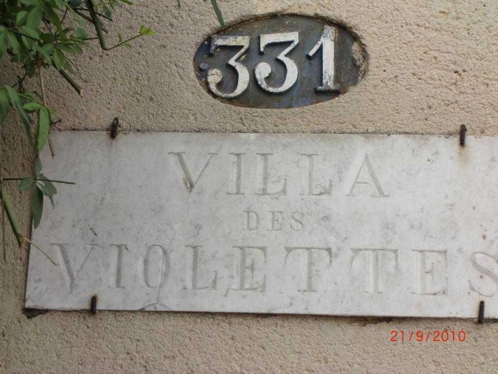 La Villa Des Violettes Toulouse Eksteriør billede