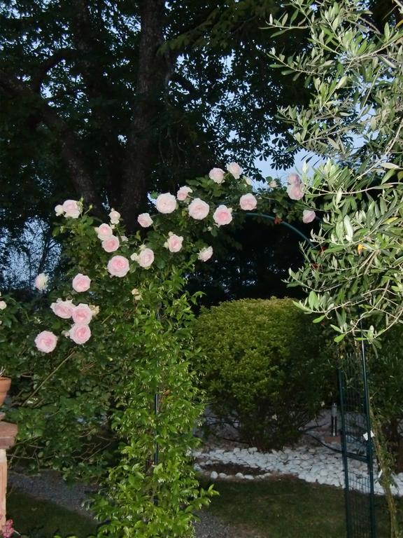 La Villa Des Violettes Toulouse Eksteriør billede